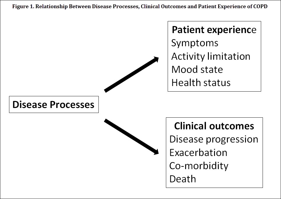 Progress in Characterizing Patient-Centered Outcomes in COPD, 2004-2014 - Figure 1