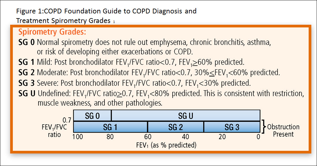 COPD Foundation Guide - Figure 1