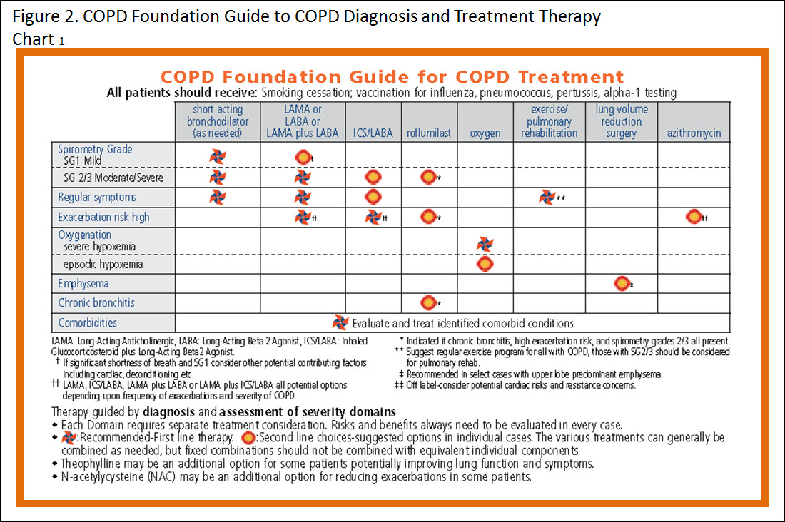 COPD Foundation Guide - Figure 2