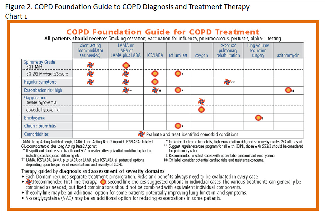 Copd Inhalers Chart Usa