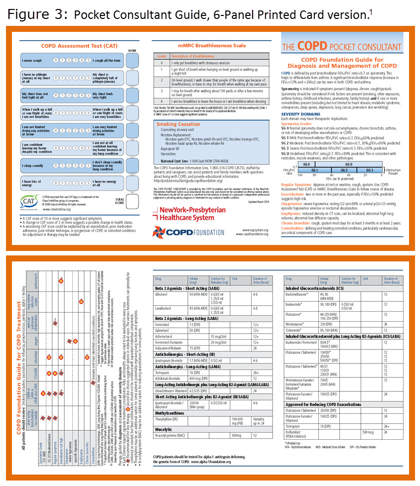 COPD Foundation Guide - Figure 3