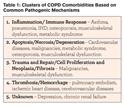 Defining COPD-Related Comorbidities, 2004-2014