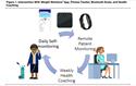 Improving Dyspnea by Targeting Weight Loss in Patients With Chronic Obstructive Lung Disease and Severe Obesity Through Health Coaching and Remote Monitoring