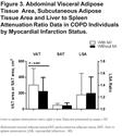 Abdominal Visceral Adipose Tissue is Associated with Myocardial Infarction in Patients with COPD