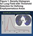 Developing and Implementing Biomarkers and Novel Imaging in COPD