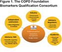 The COPD Biomarkers Qualification Consortium Database: Baseline Characteristics of the St George’s Respiratory Questionnaire Dataset