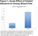 Effect of Roflumilast on Airway Blood Flow in COPD: A Pilot Study