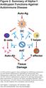 Alpha-1 Antitrypsin Therapy for Autoimmune Disorders