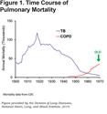 Fifty Years of the Division of Lung Diseases and the Evolution of Pulmonary Research and Medicine