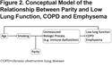 The Association of Multiparity with Lung Function and Chronic Obstructive Pulmonary Disease-Related Phenotypes