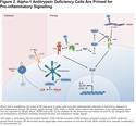 Anti-cytokines as a Strategy in Alpha-1 Antitrypsin Deficiency
