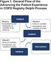 Development of the Advancing the Patient Experience in COPD Registry: A Modified Delphi Study