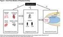 Objectively Measured Physical Activity in Patients with COPD: Recommendations from an International Task Force on Physical Activity