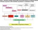 Chronic Obstructive Pulmonary Disease and Lung Cancer: A Review for Clinicians
