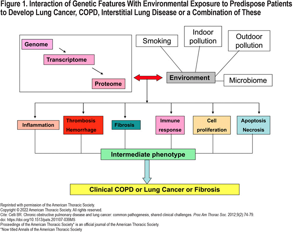 causes-and-risk-factors-of-copd-by-dr-pankaj-gulati