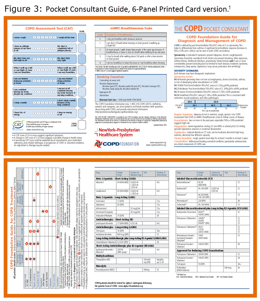 6 form id reference COPD of Foundation Foundation the COPD Guide Journal