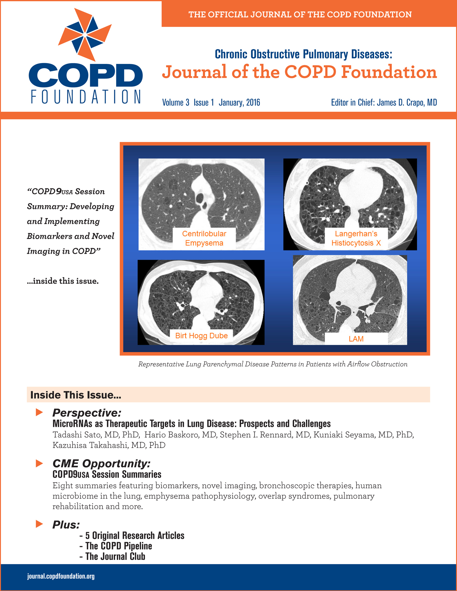 Pathophysiology Of Emphysema Journal Of Copd Foundati